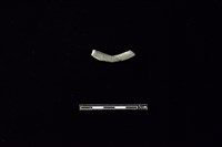 陶環藏品圖，第2張